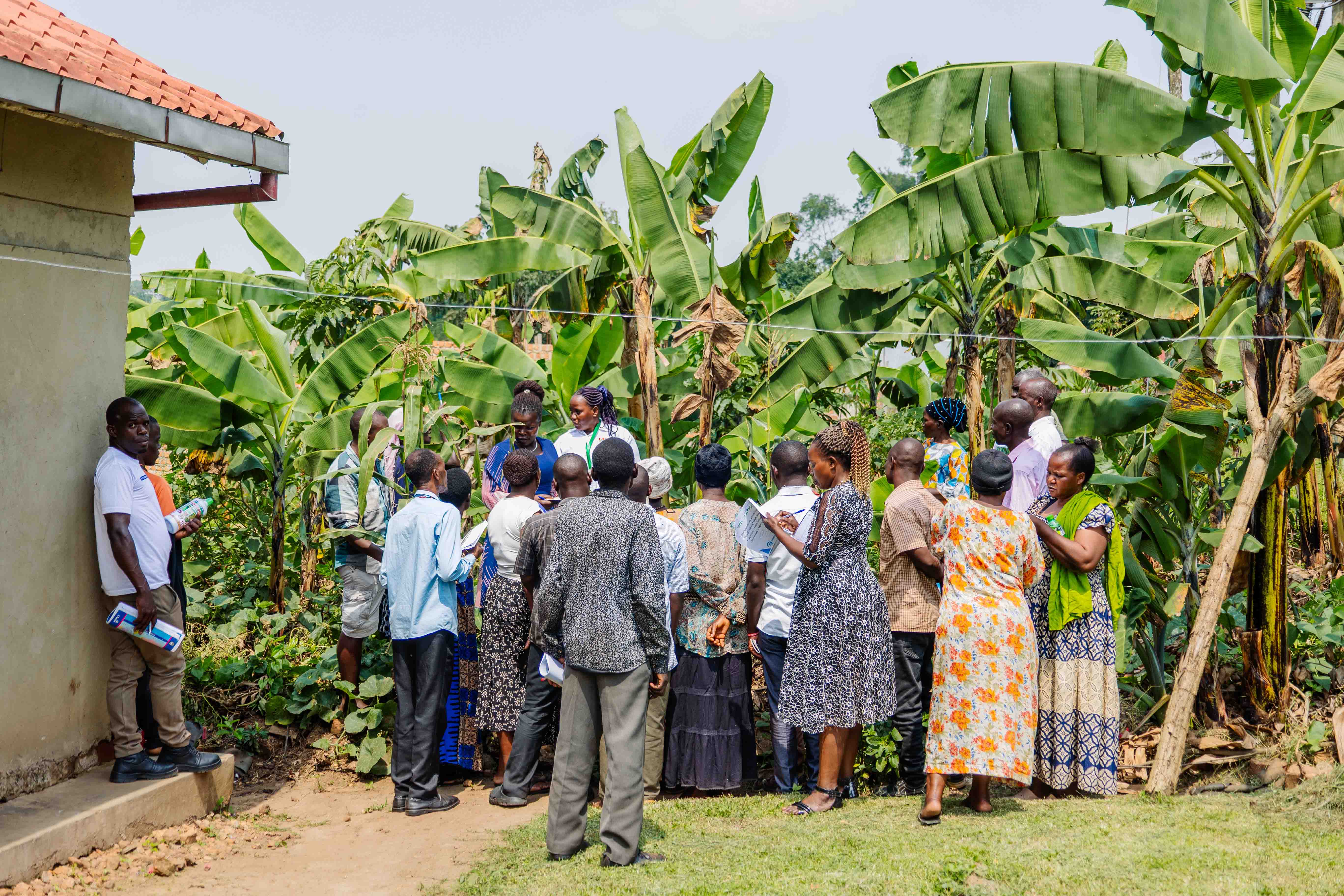 Mobile technology in agriculture
