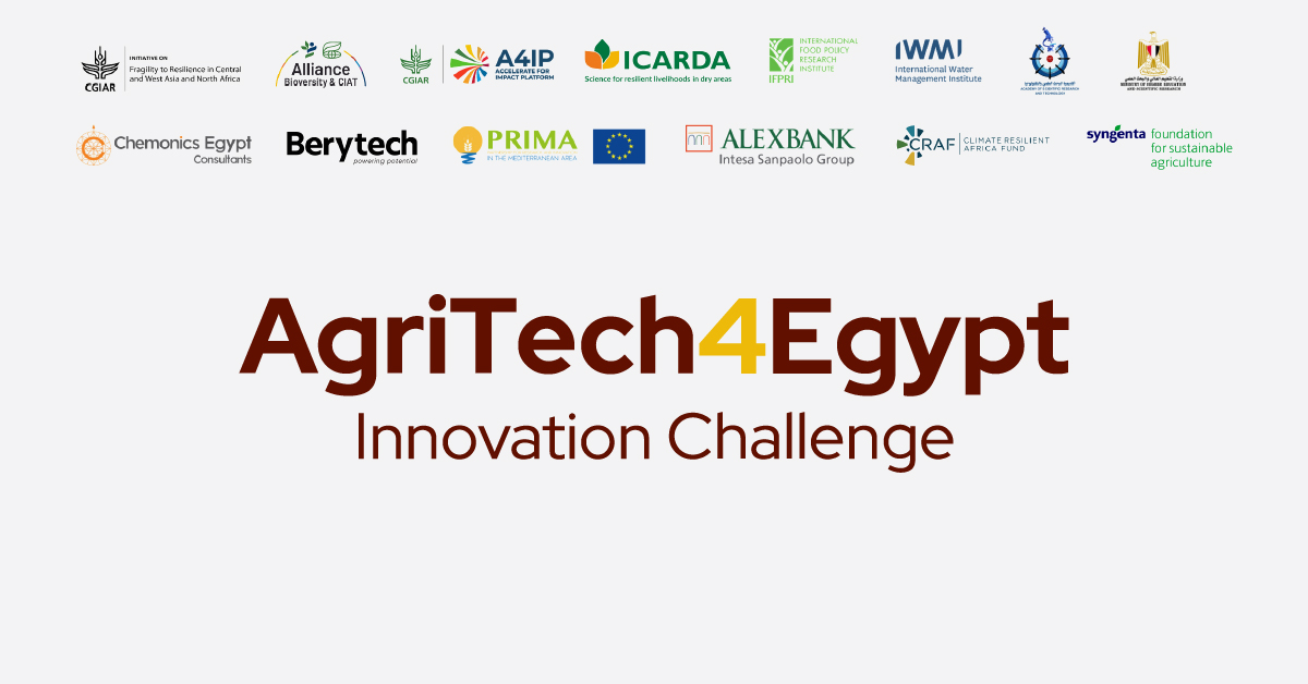 AgriTech4Egypt logo
